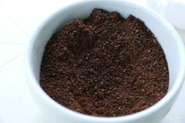 Si votre urine a une odeur de café, ne vous inquiétez pas Fous de Café